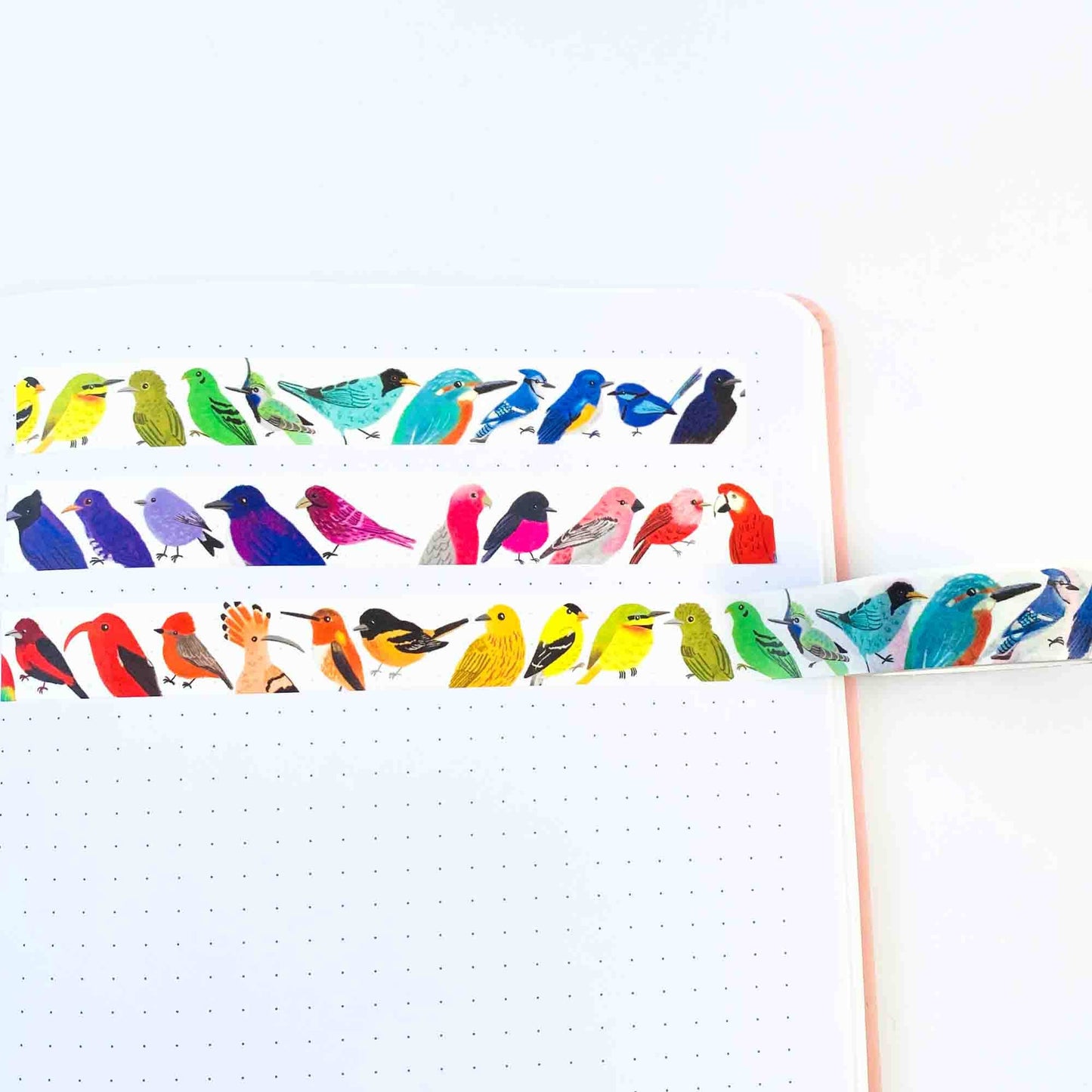Bird Rainbow Washi Tape