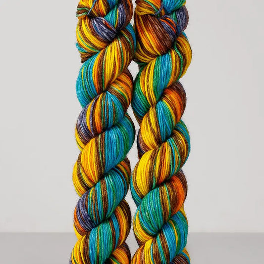 Echoes Fingering 1501 - Two braided skeins of multicolored yarn on a light gray background