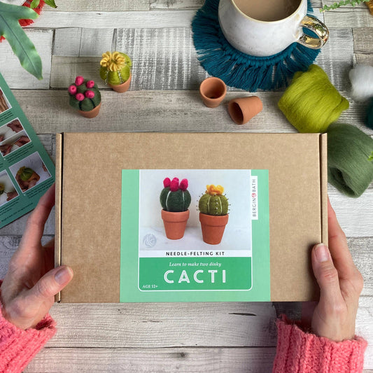 Needle Felting Kit, Cacti