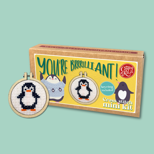 'You're Brrrilliant!' Mini Matchbox Cross Stitch Kit
