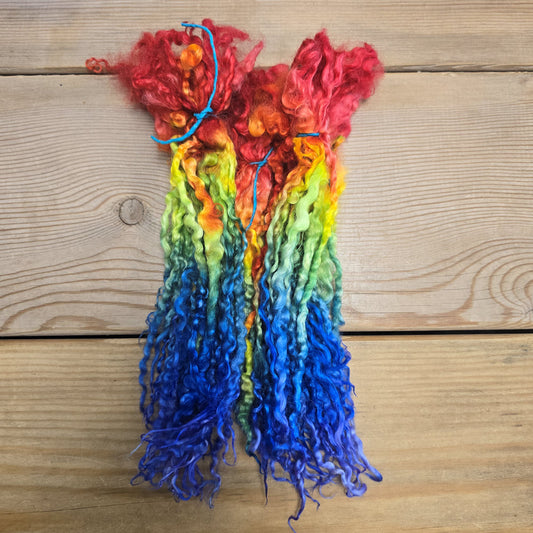 Rainbow Pride Locks image 0