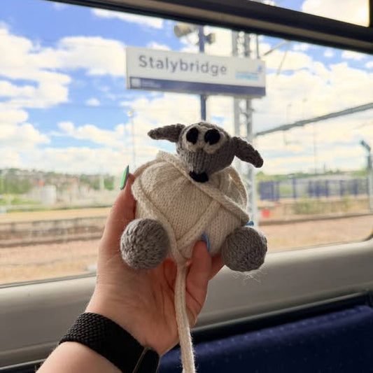 One of Woolbert's friends out and about. 
Hand holding a knitted sheep at Stalybridge train station.